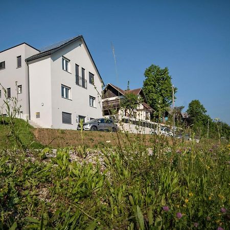 Vila Vernig ブレッド エクステリア 写真