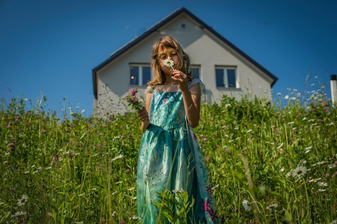 Vila Vernig ブレッド エクステリア 写真